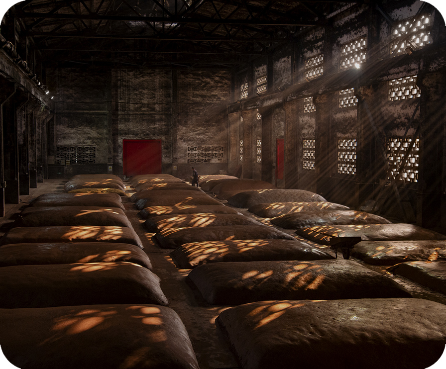 Z6尊龙旗舰厅(中国)官方网站