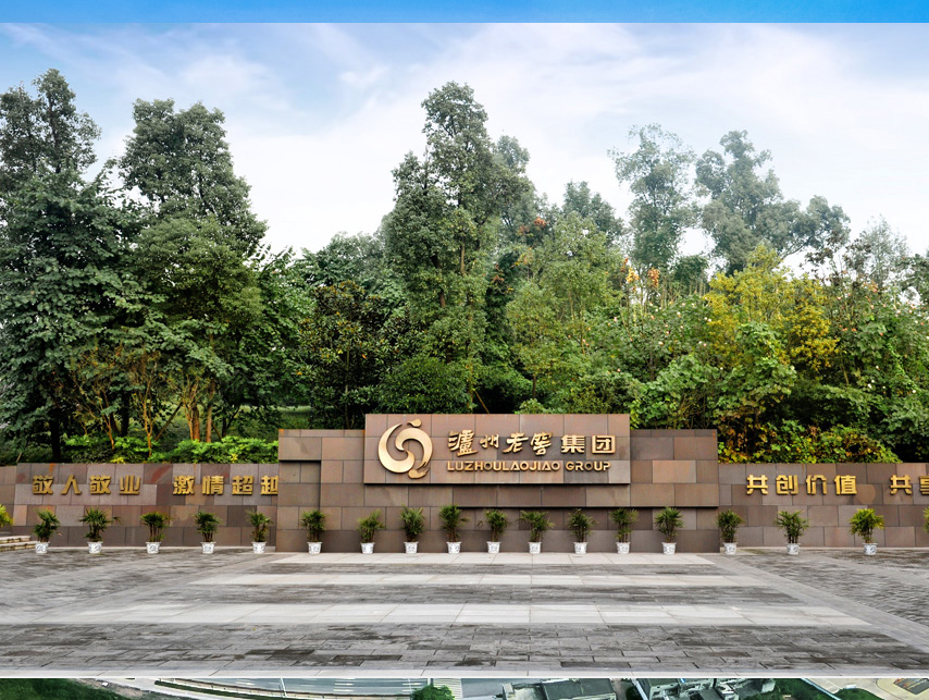 Z6尊龙旗舰厅(中国)官方网站