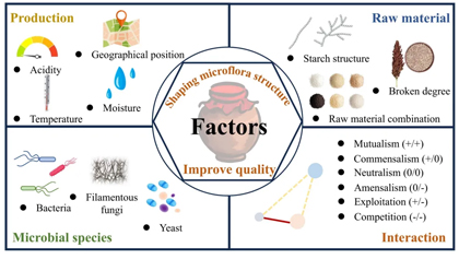 Z6尊龙旗舰厅(中国)官方网站