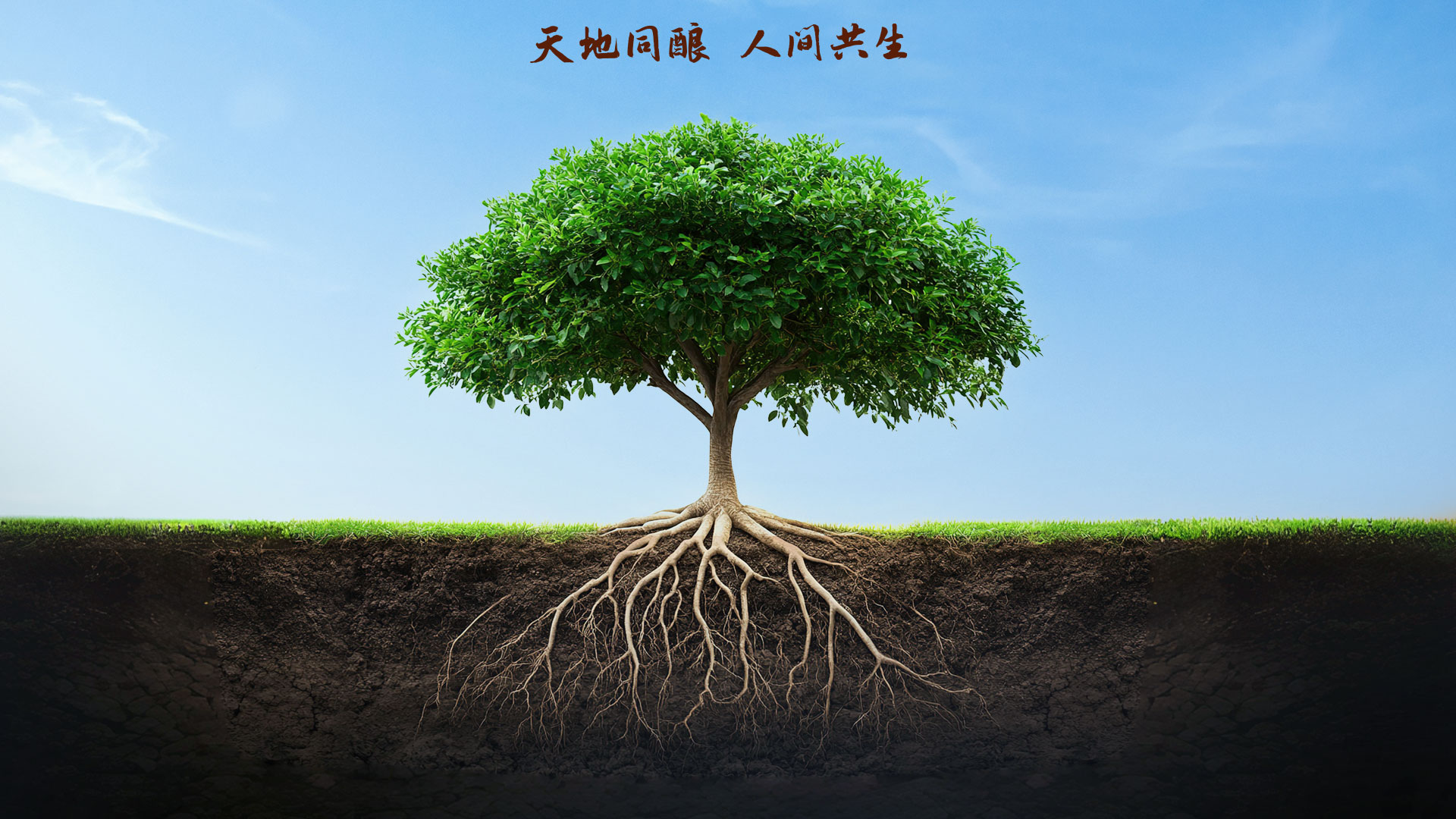 Z6尊龙旗舰厅(中国)官方网站